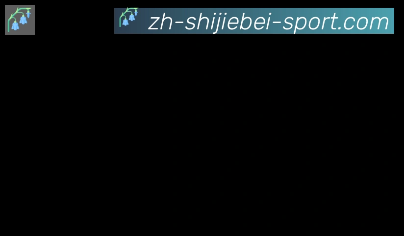 世界杯波胆推荐入口合作伙伴